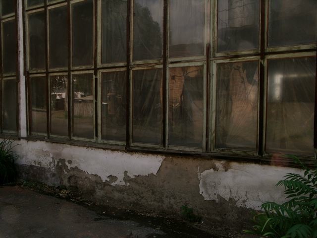 KONICA MINOLTA DIGITAL CAMERA